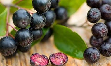 sucul de aronia contraindicatii