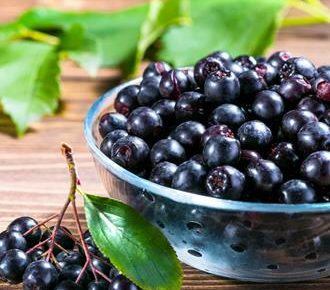 intrebari frecvente sucul de aronia