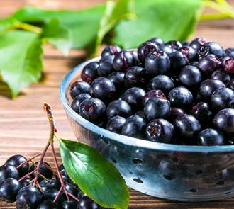 intrebari frecvente sucul de aronia